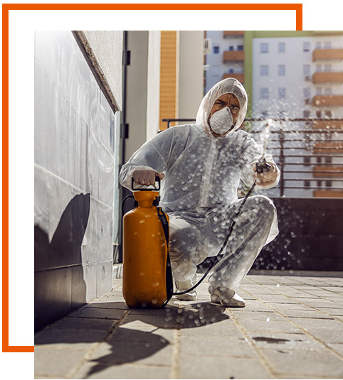 Sanificazioni Concesio